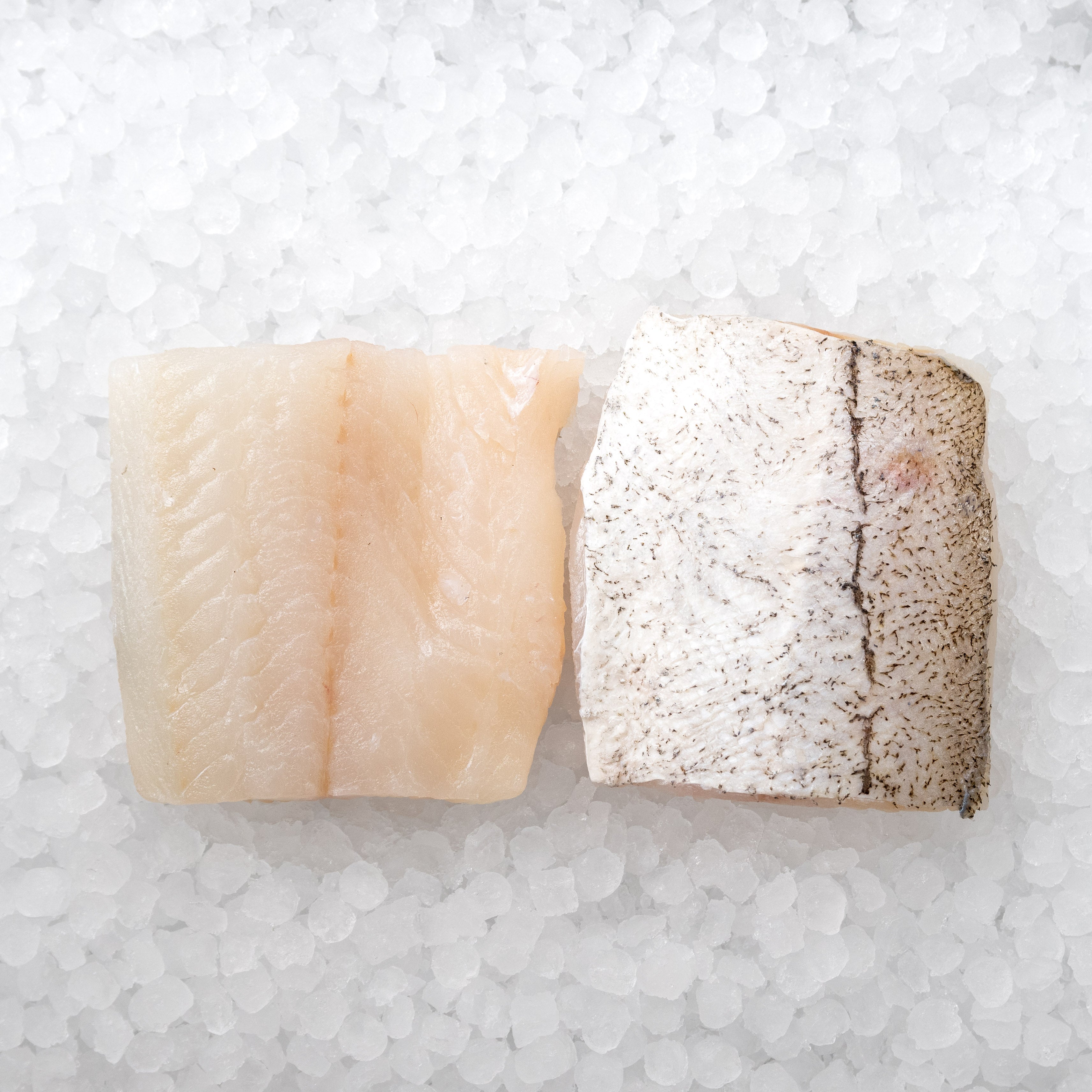 Haddock Fillets Block Haddock Fillet – The Sea, The Sea Online