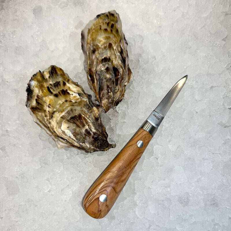 Wooden Oyster Knife*