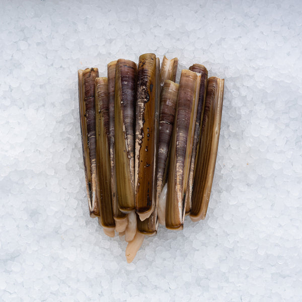 Razor Clams*