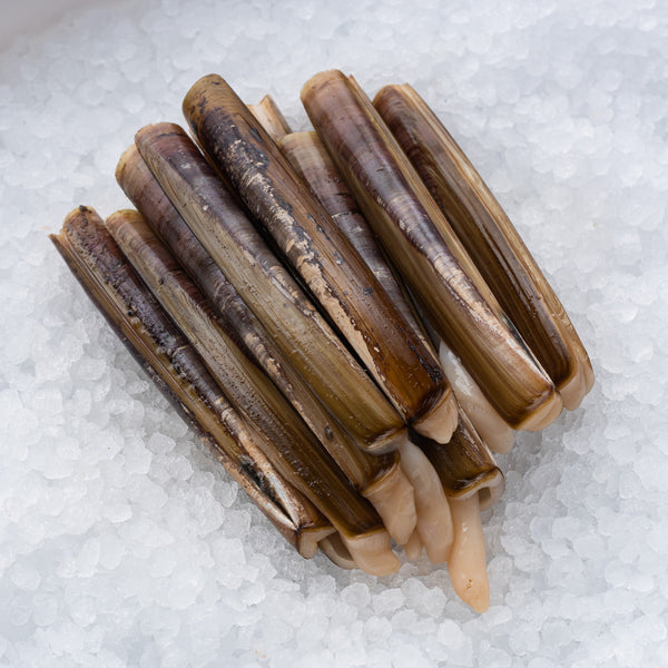 Razor Clams*