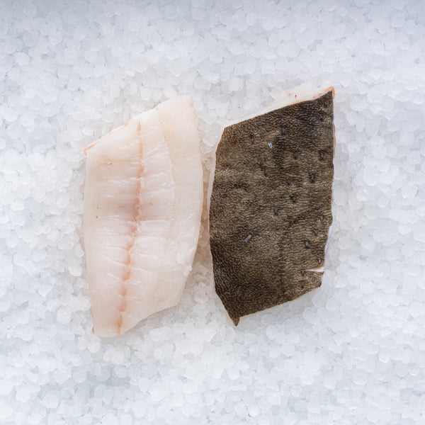 Turbot Fillet*