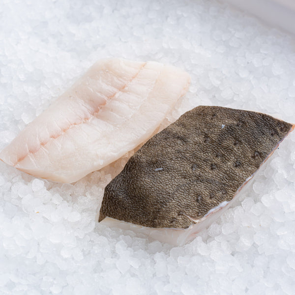 Turbot Fillet*