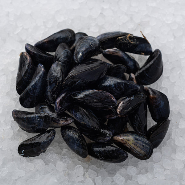 Cornish Rope-grown Mussels*