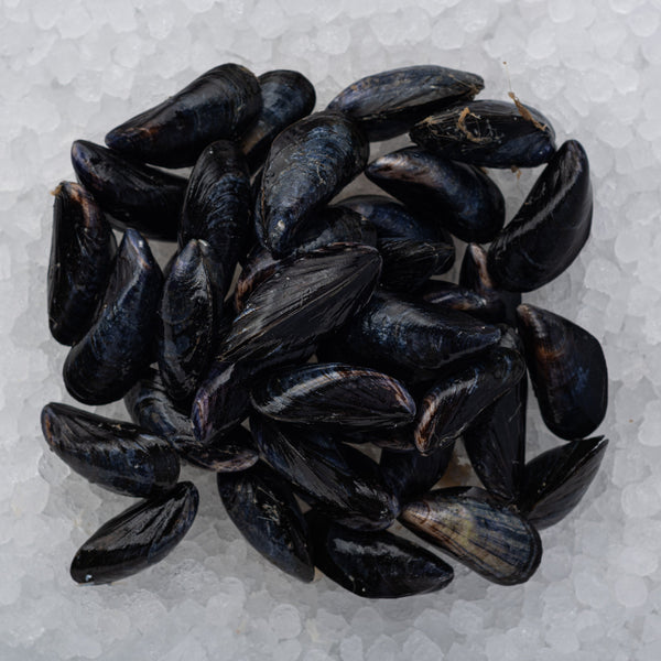 Cornish Rope-grown Mussels*