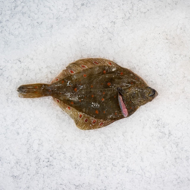 Whole Plaice