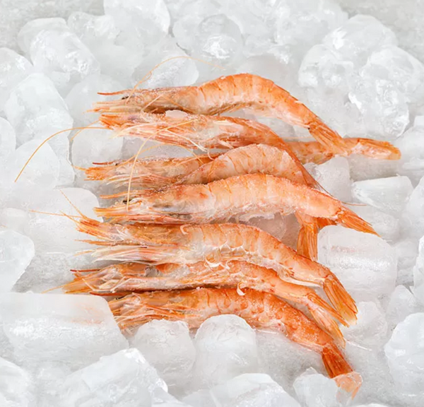 Sicilian White Prawns*