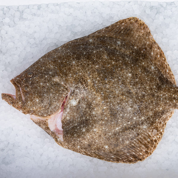 Whole Cornish Turbot*