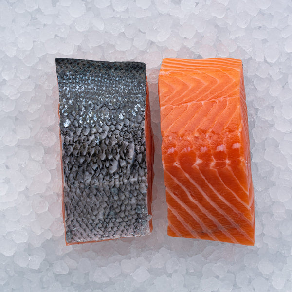 Kids White Fish and Salmon Box