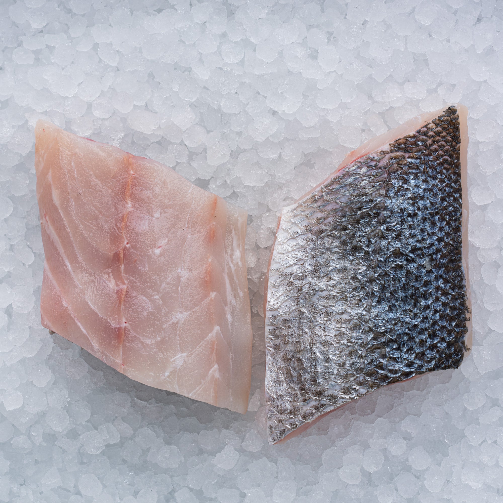 Farmed Seabass Fillet – The Sea, The Sea Online