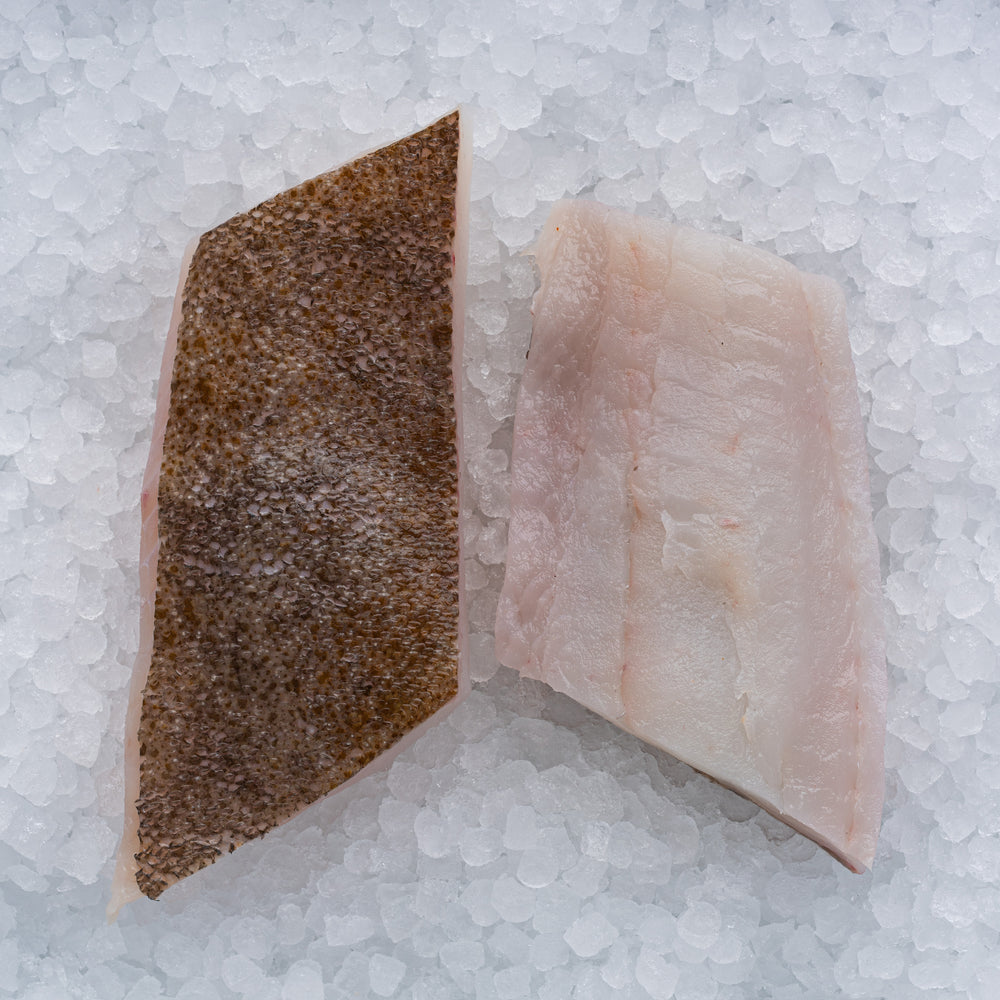 Brill Fillet – The Sea, The Sea Online