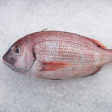 Whole Pink Bream
