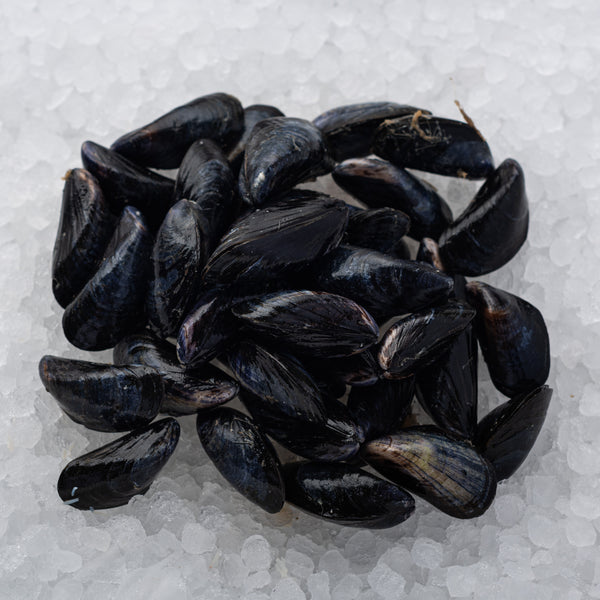 Scottish Rope-grown Mussels