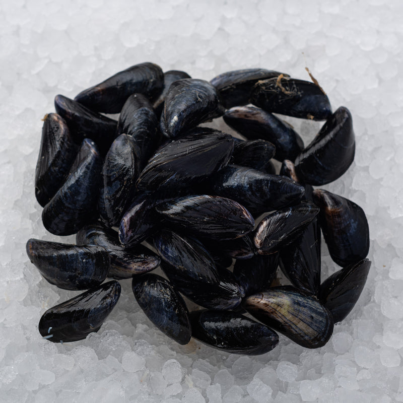 Cornish Rope-grown Mussels