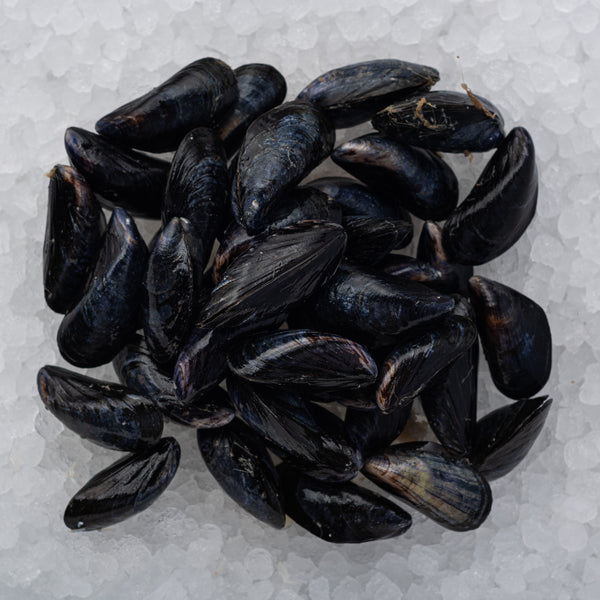 Scottish Rope-grown Mussels