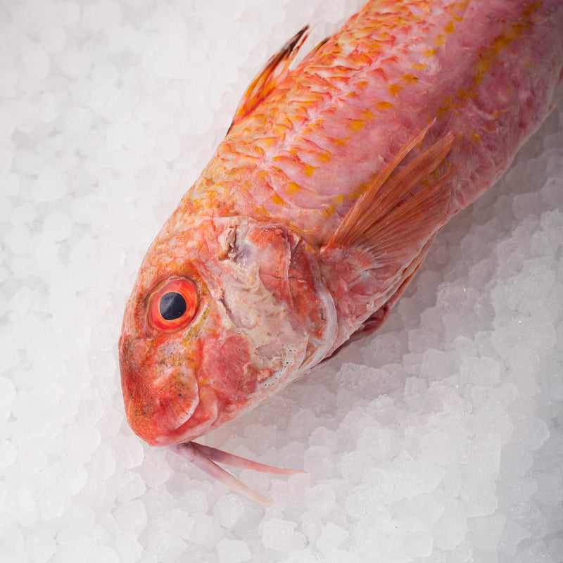 Whole Cornish Red Mullet