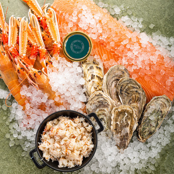 buy luxury fish box Luxury Fish Box – The Sea, The Sea Online